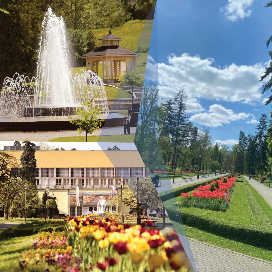 Visednevna savetovanja